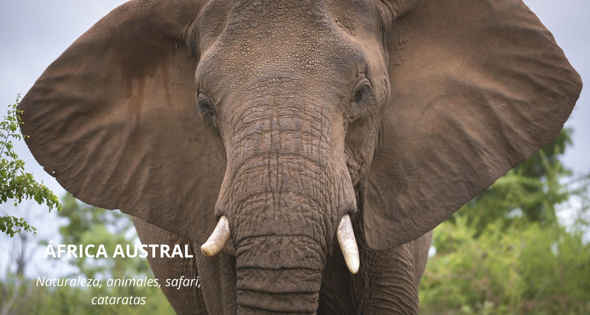 &Aacute;frica Austral