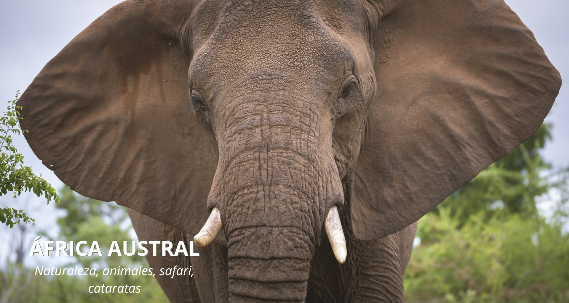 &Aacute;frica Austral